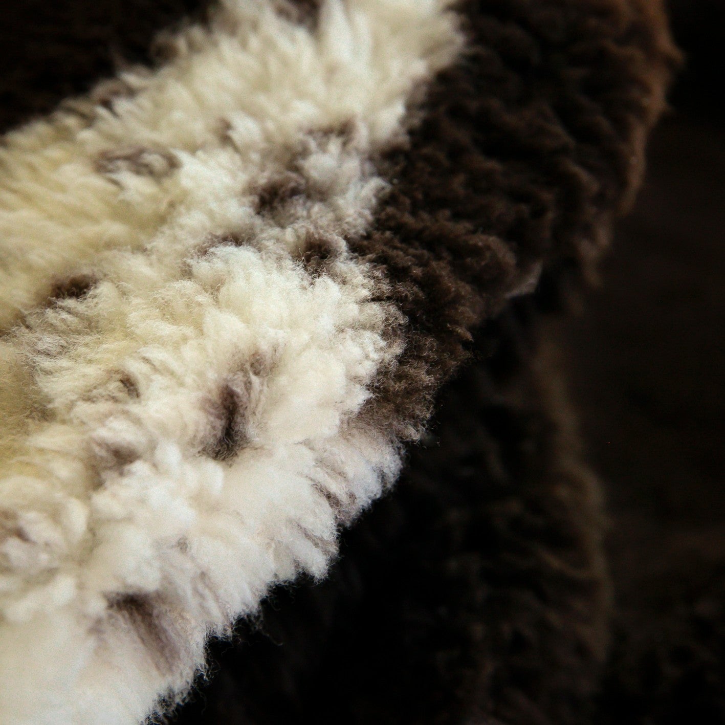 Crossbreed Sheepskin | Brown With Side Speckles