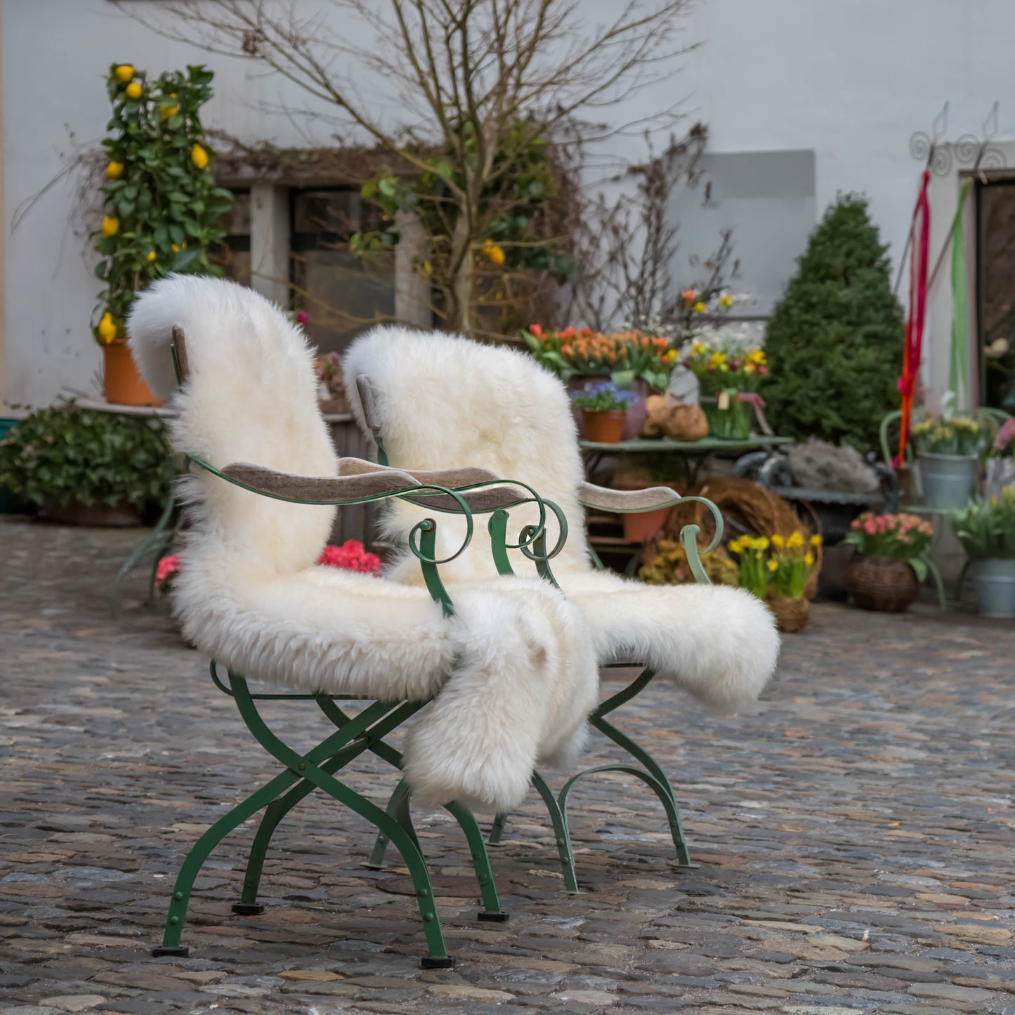 Sheepskin | Long Wool | Creamy White