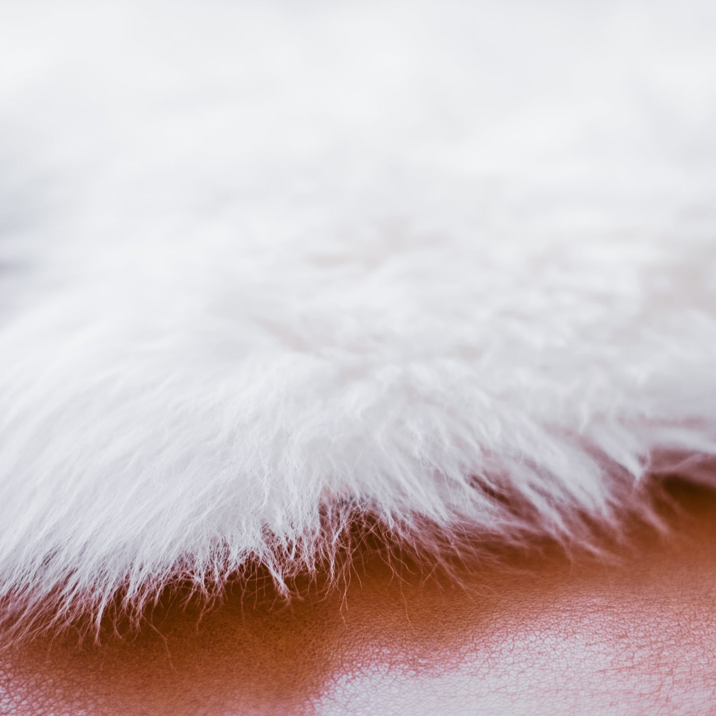 Sheepskin | Long Wool | Creamy White