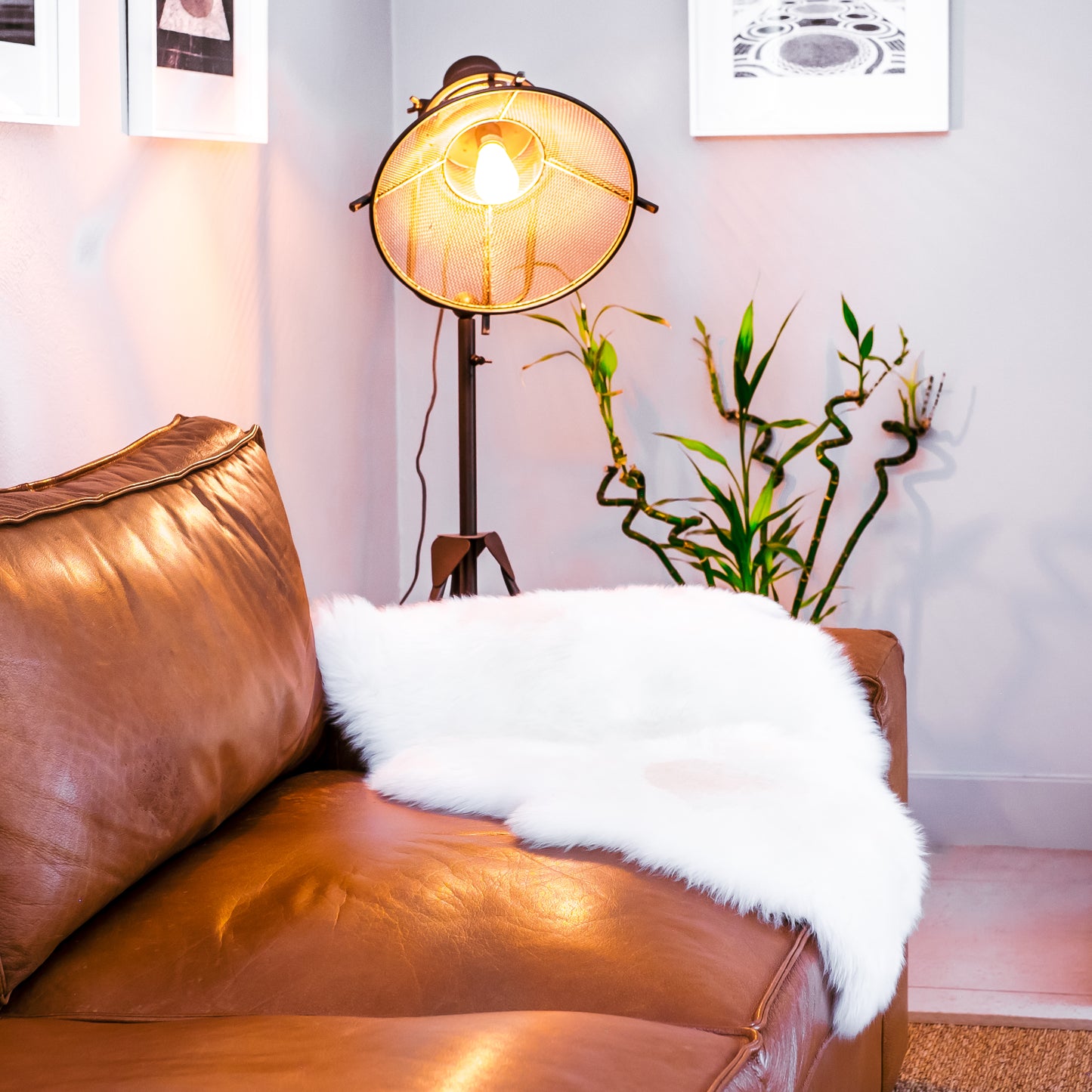 Sheepskin | Long Wool | Creamy White