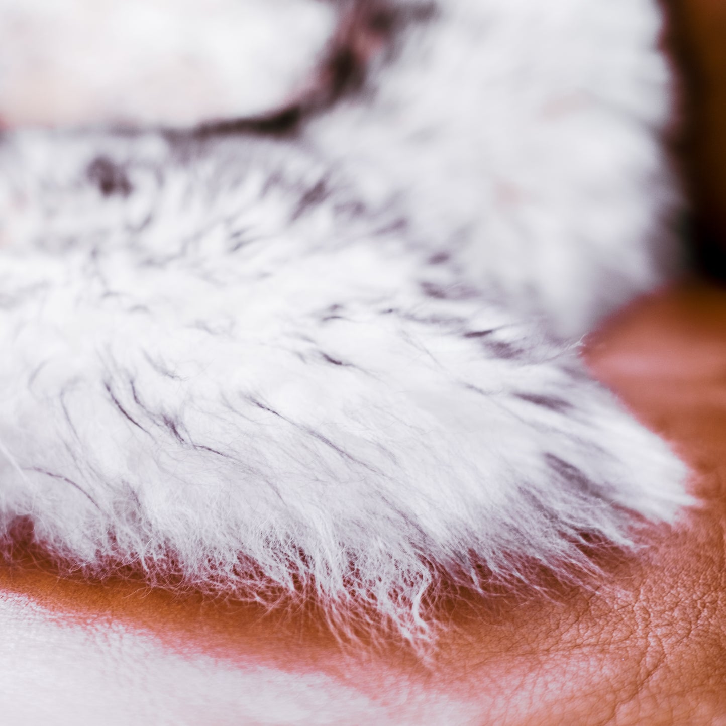Long Wool Sheepskin | Wolf Tip