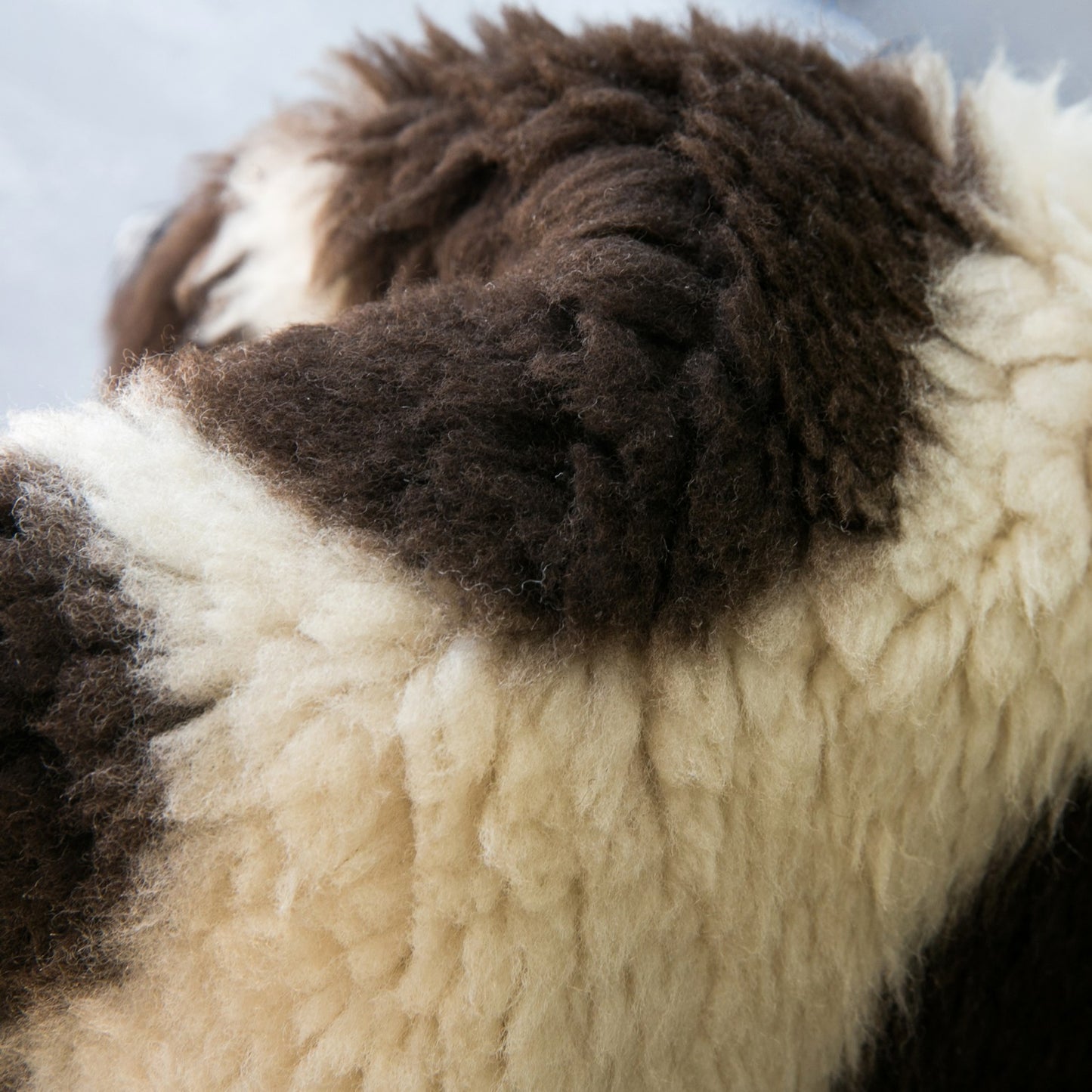 Crossbreed Sheepskin | Spots