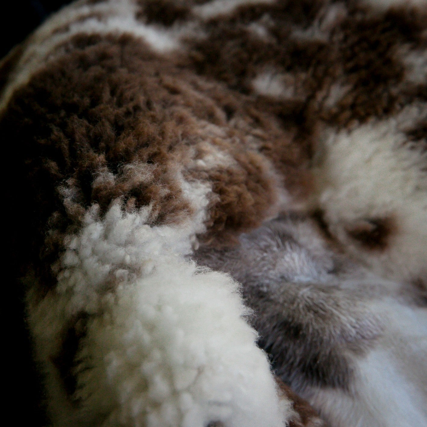 Crossbreed Sheepskin | Natural With Brown Dots