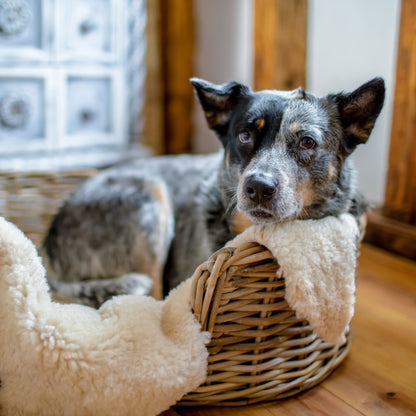 1st-Grade Merino Sheepskin | Natural