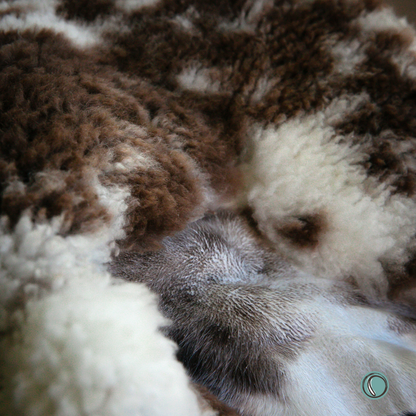Crossbreed Sheepskin | Natural With Brown Dots