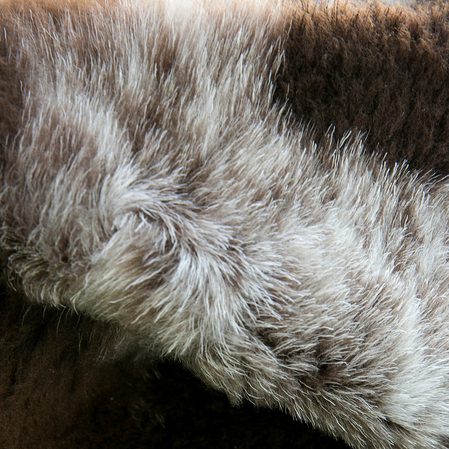 Sheepskin | Cross-Breed | Mottled